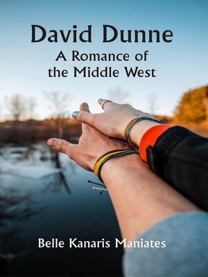 cover image of David Dunne a Romance of the Middle West